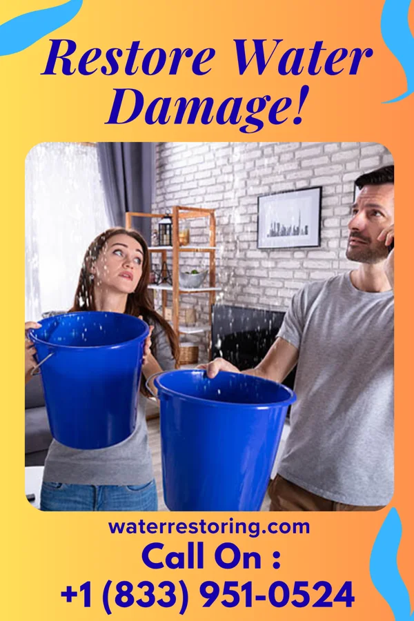 water restoration Patriot Water Works & Associates Pinehill